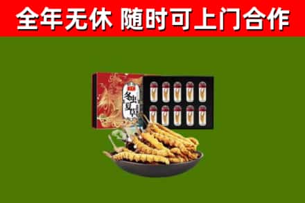 永城烟酒回收冬虫夏草礼盒.jpg